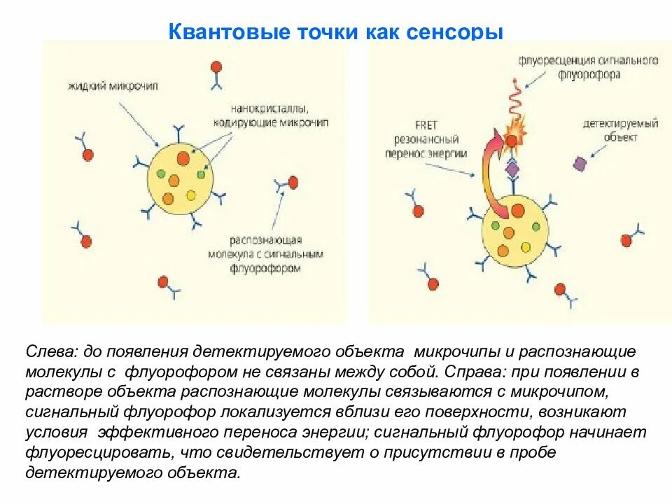 Схема применения квантовых сенсоров