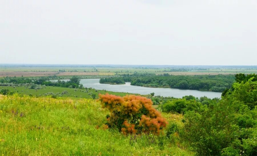 природный парк «щербаковский», камышинский район. хутор край балка. хутор край балка. скельновский хутор. хутор сазоновка ростовская область.
