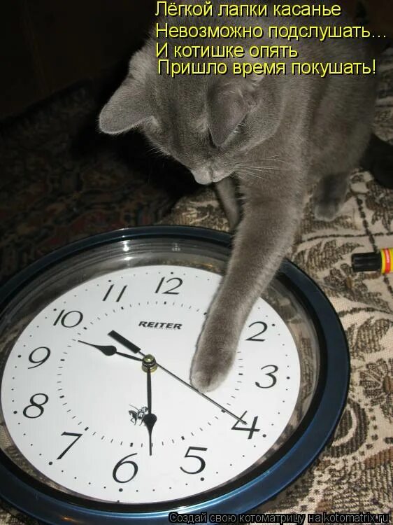 Бывший быстро посмотрел