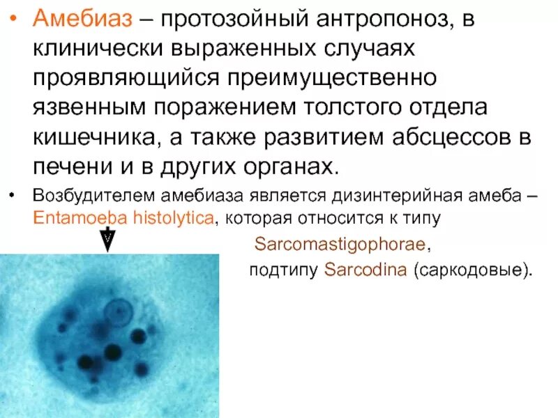 Заболевания вызванные амебами