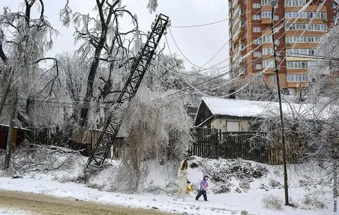Последствия ледяного дождя