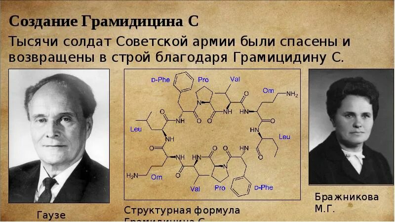Ф и р м а г. Ф и р м а г