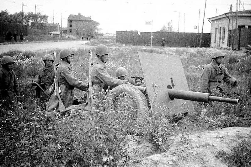 Август 1941. 45-мм противотанковая пушка ленинградского производства 1941. пушка ленинградка 45 мм. 45 мм противотанковая пушка обр 1942 г на фронте. колпино 1941.
