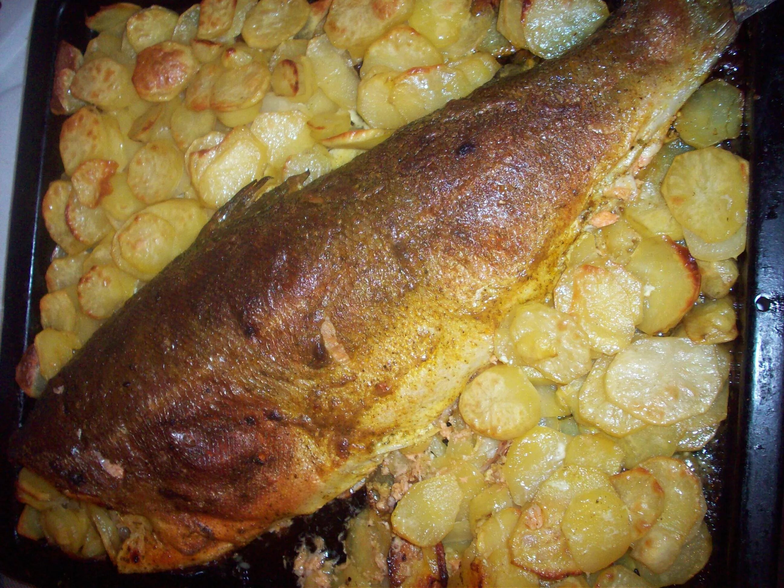 Рыба с картошкой в духовке. Рыба запечённая в духовке с картошкой. Форель с картошкой в духовке. Рыба запеченная с картошкой.