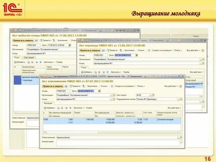 Бухгалтерия птицефабрики