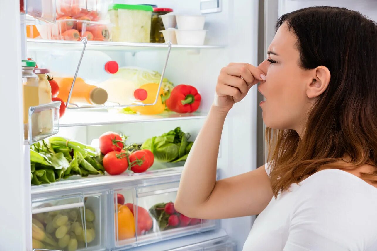 Удалить запах холодильника домашних. Запах из холодильника. Избавиться от запаха в холодильнике. Холодильник с протухшей едой. Неприятный запах в холодильнике.