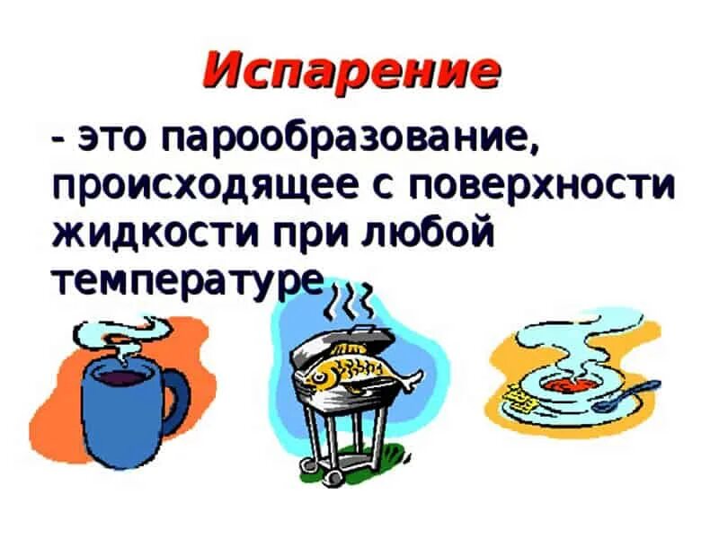 Испарение 6 класс биология кратко. Испарение. Парообразование происходящее с поверхности жидкости. Испарение происходит с поверхности жидкости. Испарения это парообразовагие пр.