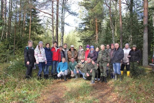 филипп солинское лесничество. бокситогорское лесничество. краснокамское лесничество пермский край. бокситогорском лесничество. бокситогорском лесничество.