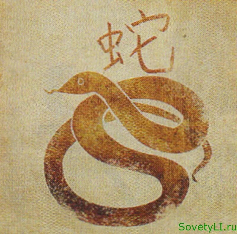 телец змея 2024