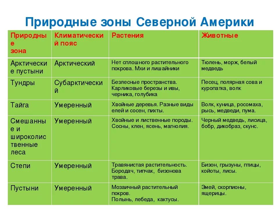 Сравнительная характеристика природных зон россии 8 класс. Таблица природные зоны и население Северной Америки география 7 класс. Природные зоны Северной Америки 7 класс таблица. Таблица природные зоны Северной Америки по географии 7. Характеристика природных зон Северной Америки 7 класс география.