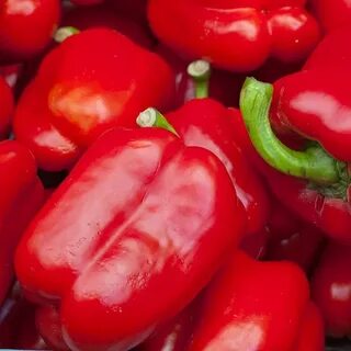 Семена перца f1
