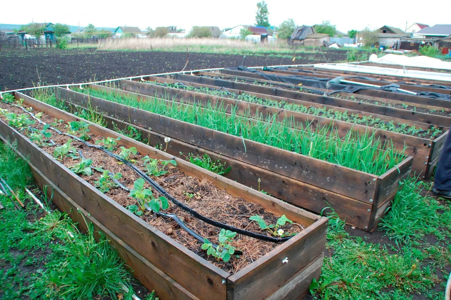 Грядка дпк holzhof 2х1х0,15 м. Высокие деревянные грядки. Грядки хольцхоф. Деревянные короба для грядок. Деревянные короба для грядок.