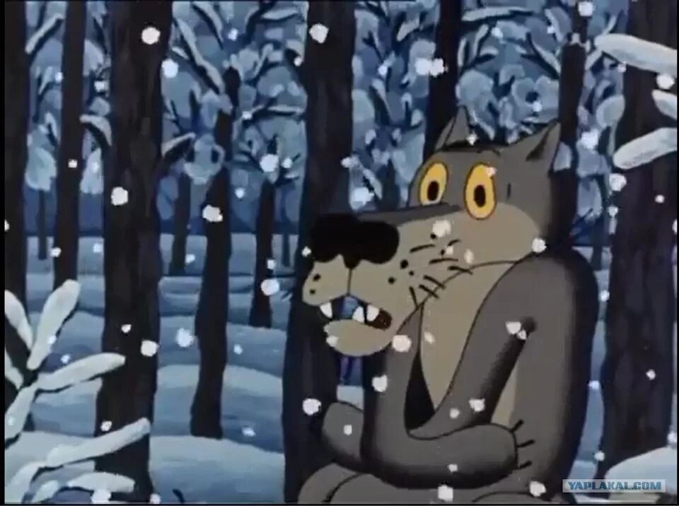 Опять ты фото. Опять бухать. Шо опять волк. Опять ты фото. Ты опять выходишь на связь.