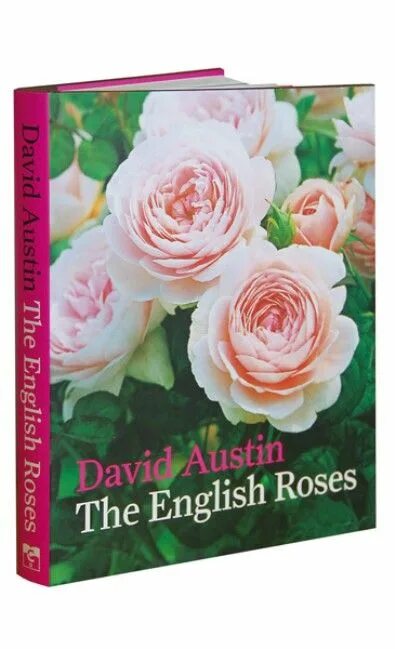 The english roses. Английские розы книга. Английские розы книга. The english roses. Мадонна "английские розы".