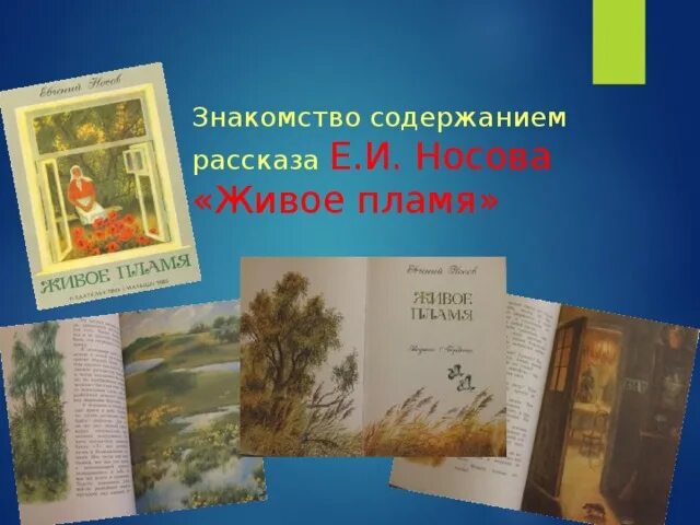 Прочитать носова живое пламя. Живое пламя Носов обложка. Рассказ Носова живое пламя. Пересказ рассказа живое пламя.