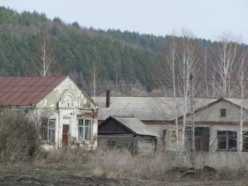 Низовка Пензенская область Каменский район. Село Низовка Каменского района Пензенской. Пензенская область Каменский район село Низовка. Низовка Пензенская область Каменский район Церковь.