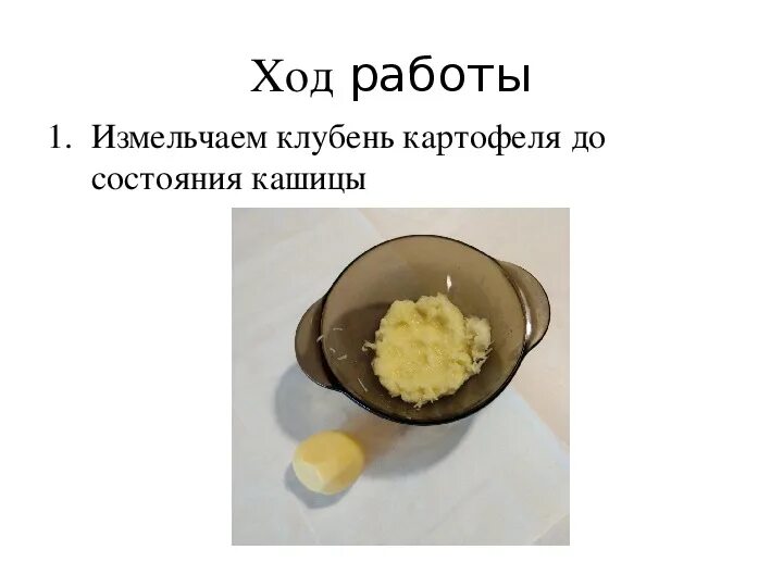 Ученый провел эксперимент с фрагментами клубня