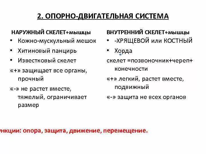 Эволюция строения и функций. Эволюция опорно двигательной системы животных 7 класс. Эволюция опорно-двигательной системы животных таблица. Опорно-двигательная система животных 7 класс. Опорно-двигательная система у животных таблица биология.