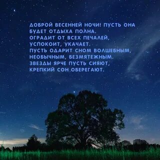 Отзыв весенняя ночь