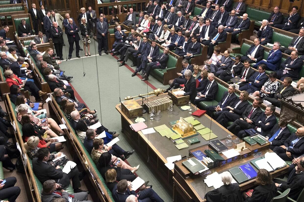 Деятель в парламенте