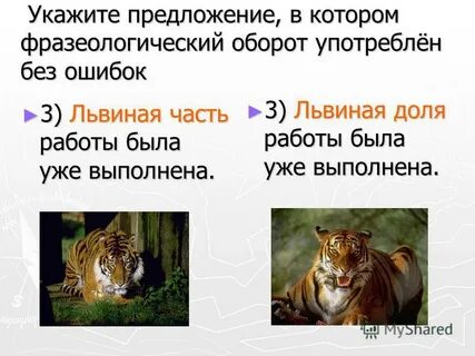 Львиный прилагательное