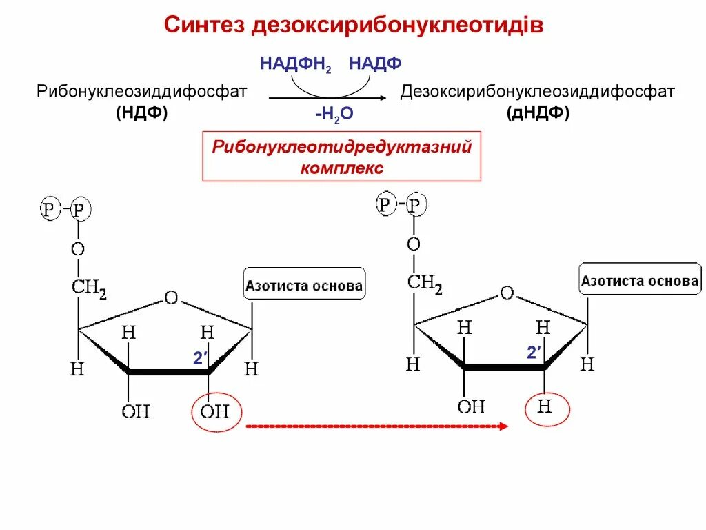 Синтез надф н