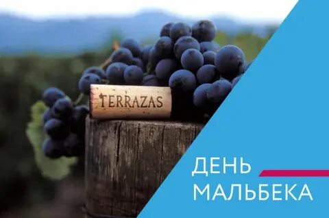Всемирный день винограда