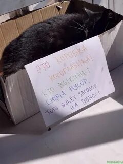 Благодарность хозяевам