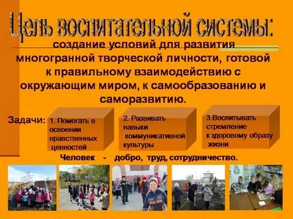 Социальная портфолио