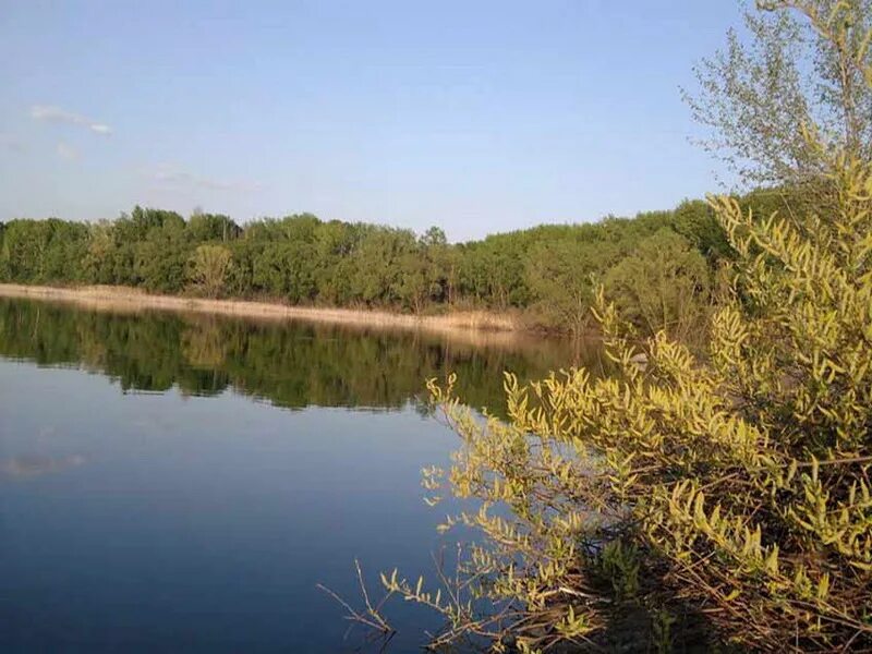 Шушпанское водохранилище т. Шушпанское водохранилище тамбовской. Тамбов шушпанское водохранилище. Кершинское водохранилище тамбовской. Тамбов шушпанское водохранилище.