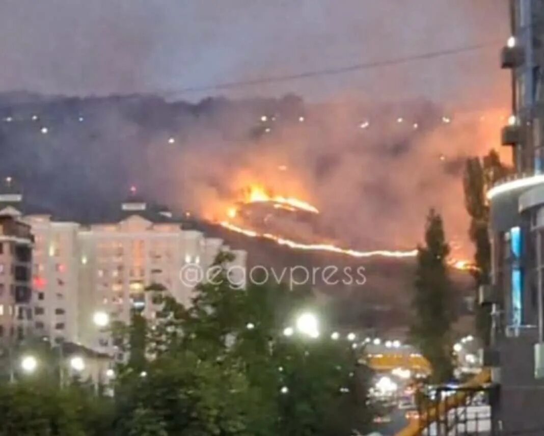 Пожар в алматы вчера. Пожар в Китае. Пожар на Кок Тюбе в Алматы. Огонь гор пожар.