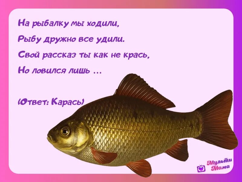 Стих про рыбку для детей. Загадки про рыб. Стихи про рыб. Загадки про рыб для детей. Стих про рыбу для детей.