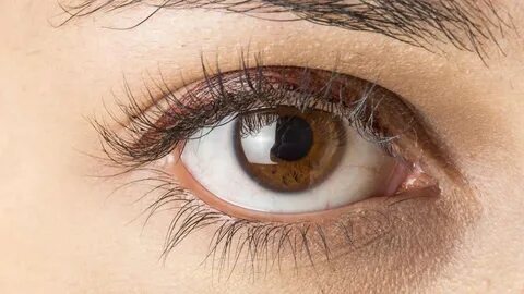 2 brown eyes