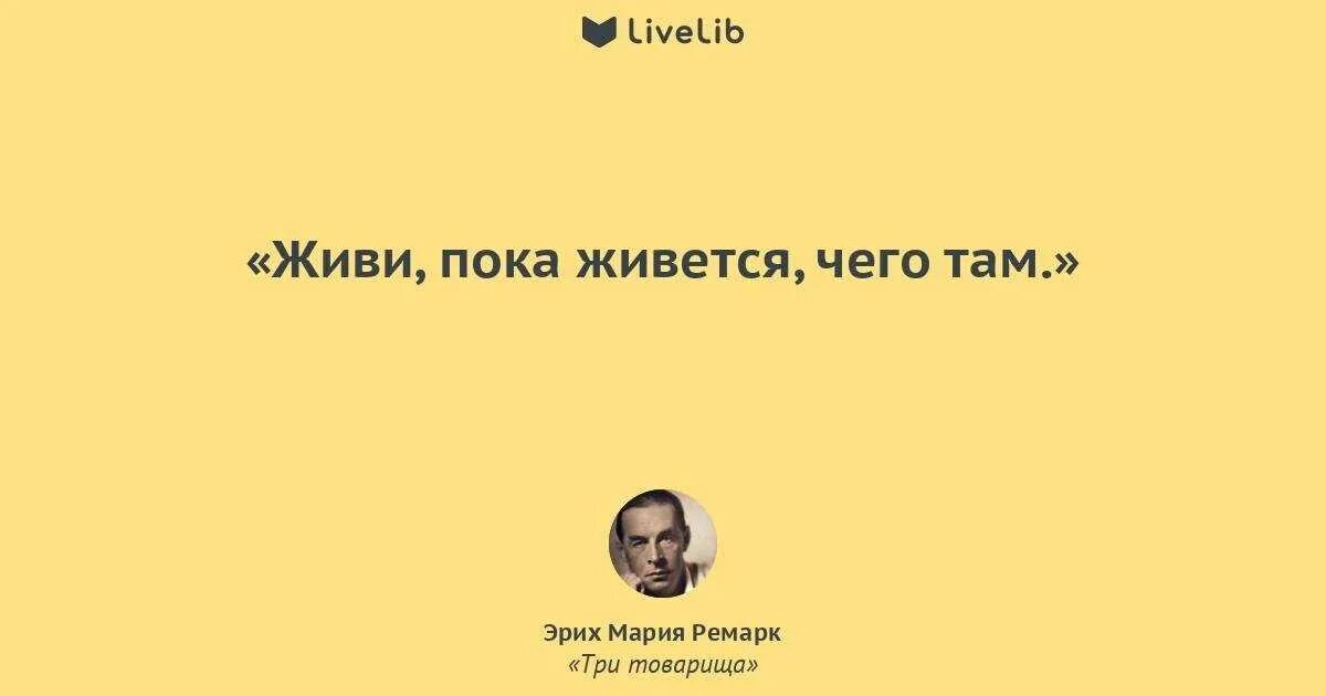 Цитаты с автором. Живи пока живется. Никакого интереса. Большинство людей до сих