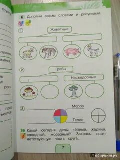Заполни схему окружающий мир