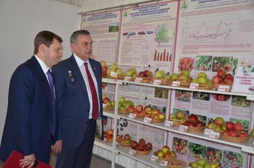 Садоводства краснодар. Садоводства краснодар. Подмосковные питомники. Благое сочи пластунка. Садоводства краснодар.