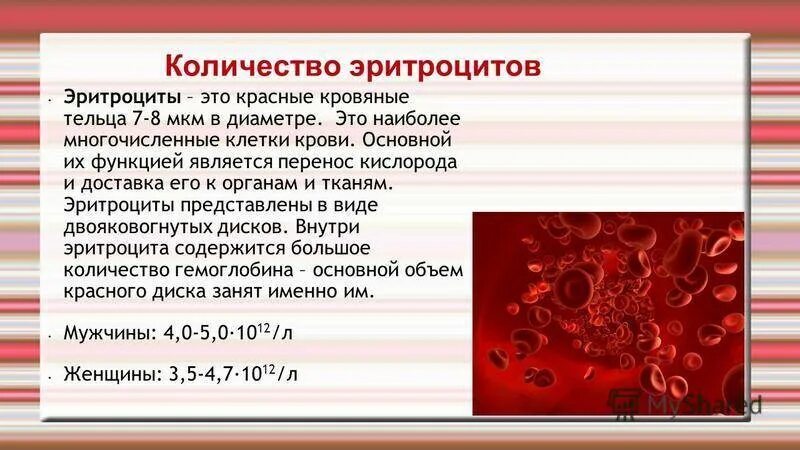 Эритроциты 3 при беременности