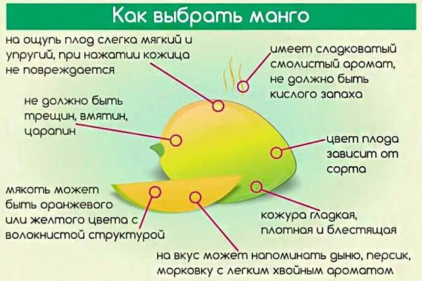 Манго польза есть. Как выбрать спелый манго. Как правильно выбрать манго. Как выбрать правильное манго. Как правильно выбрать Магно.