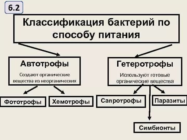 Как можно защитить продукты питания от бактерий