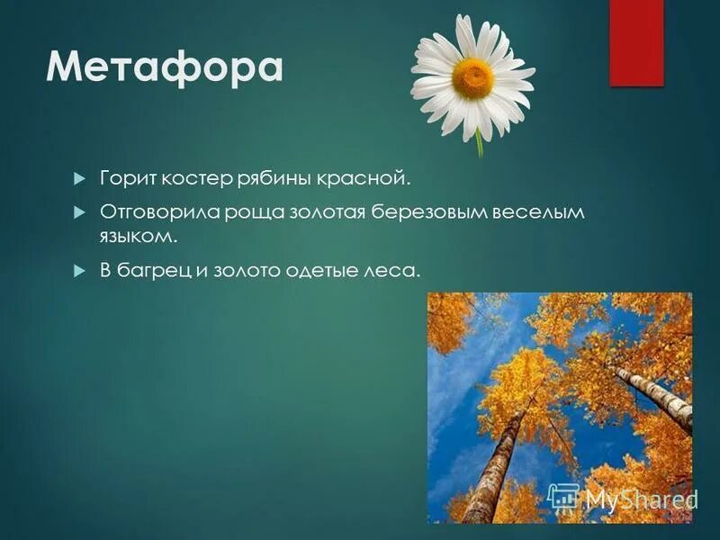 Русский сальвадор дали владимир куш картины. Эпитет красный диск луны. Метафора в саду горит костер рябины. В саду горит костер рябины красной. Метафора красный.