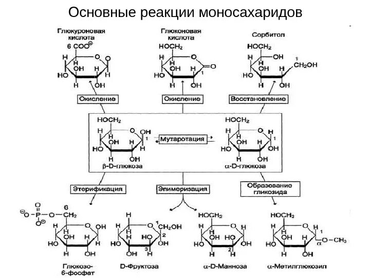 Рибоза реакция гидролиза. Окисление галактозы в щелочной среде. Реакция восстановления рибоза биохимия. Реакция восстановления д рибозы. Реакции моносахаридов Синтез гликозидов.