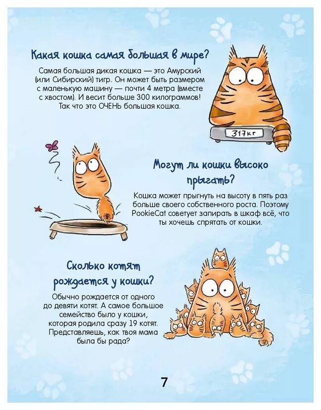 Почему котята мурчат. Почему коты мурчат. Почему кот мурлыкает. Зачем кошки мурлыкают. Как коты мурлыкают.