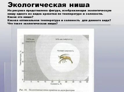 Биология 9 класс ниш