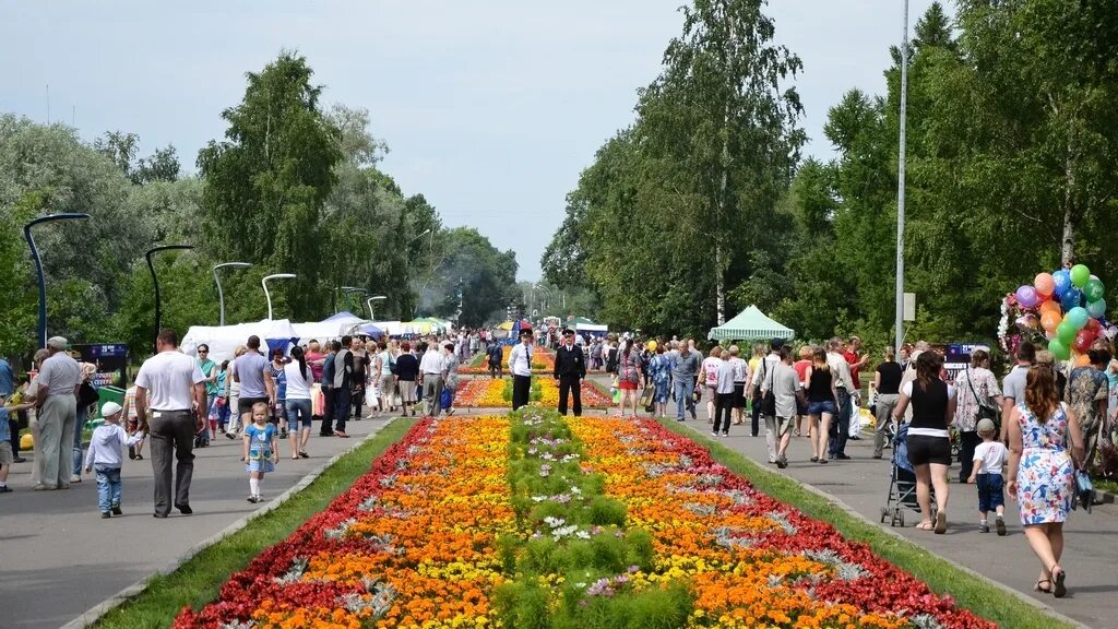 Работа вологда аллеях. Аллея вологда. день города вологда. блядская аллея вологда. блядская аллея ульяновск.