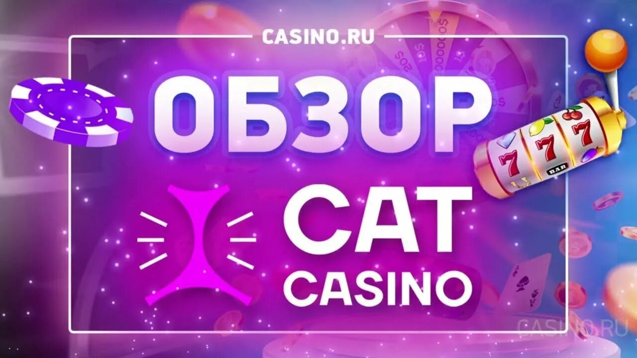 Сайт cat casino cat license casinos pw. Cat Casino. Casino Cat обзор. Казино супер Кэт.