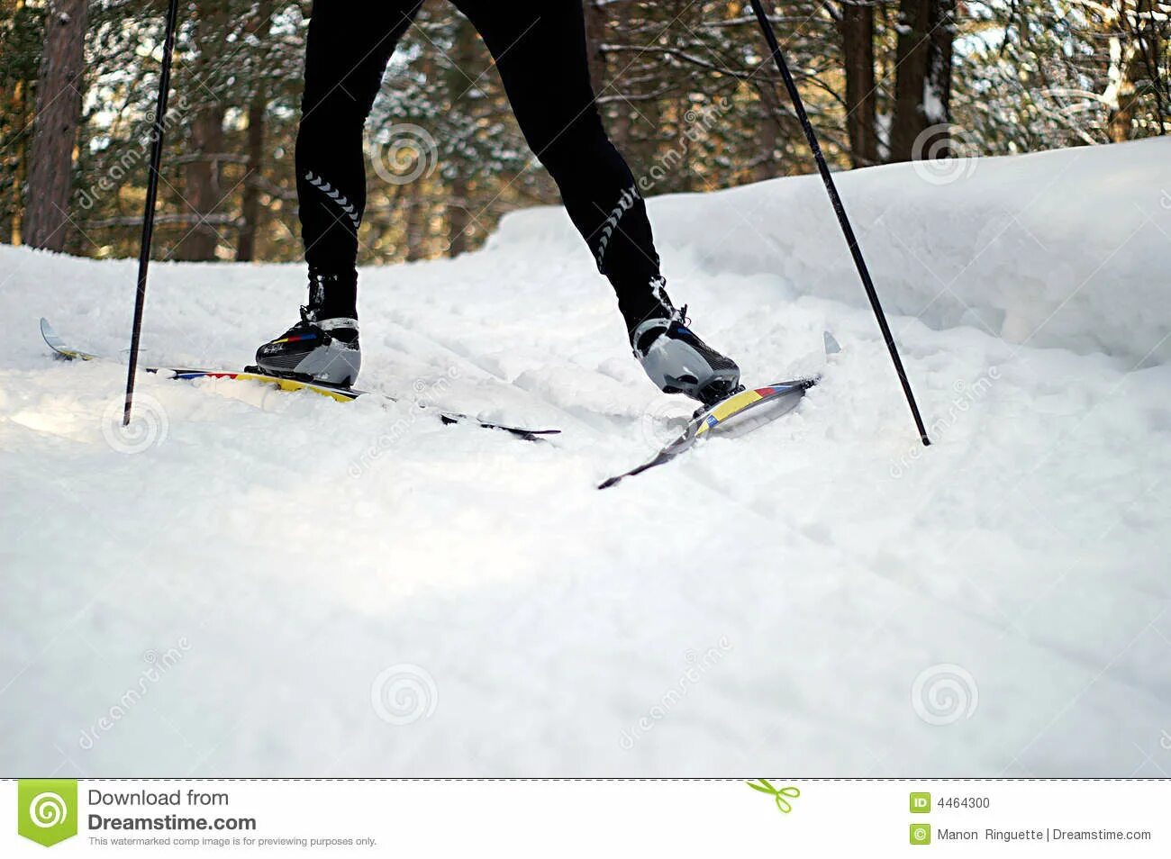 Елочка лыжи. Подъем елочкой на лыжах. Лыжный подъем елочка. Беговой подъем на лыжах.