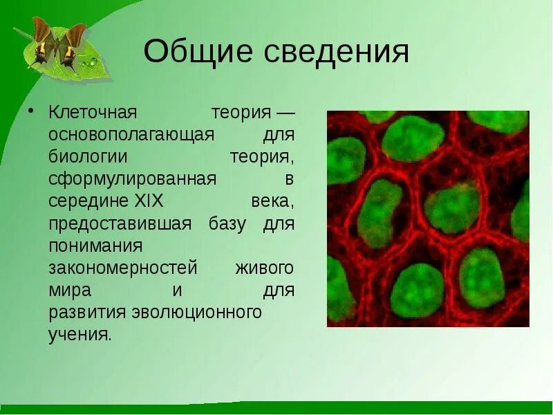 10 теорий биологии