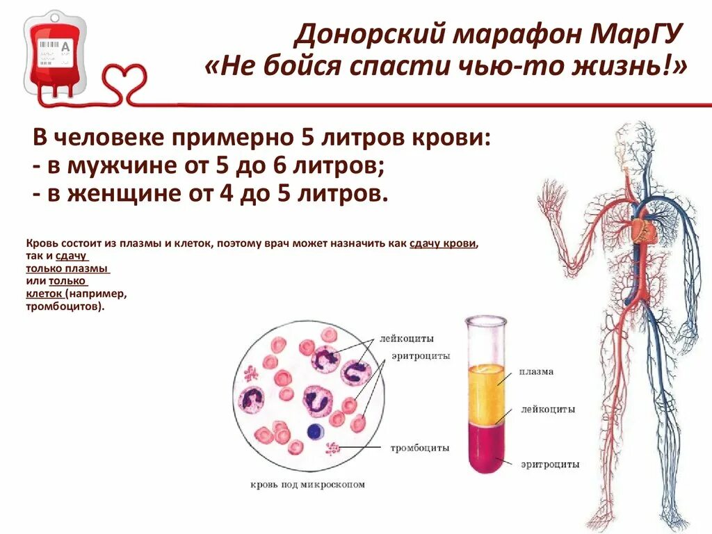 Донорство крови тромбоциты. Как сдавать кровь плазму тромбоциты. Плазма и тромбоциты донор. Сдача крови плазма клеток.