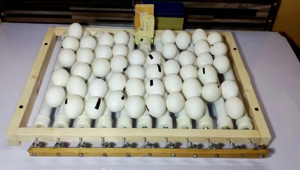 Автоматический переворот яиц в инкубаторе