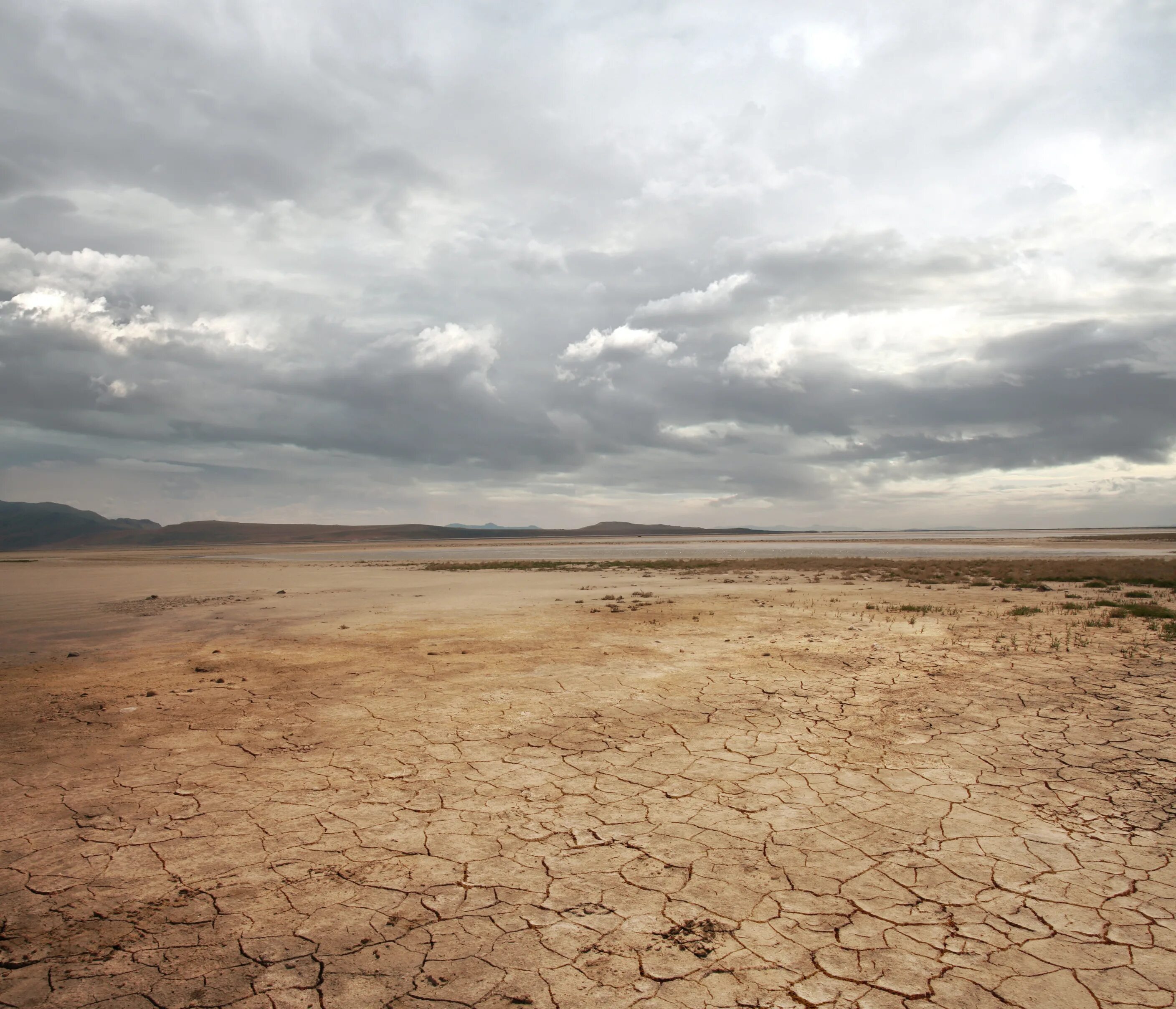поле пустырь. пустырь фото. пустырь в пустыне. поле пустырь. поле пустырь.